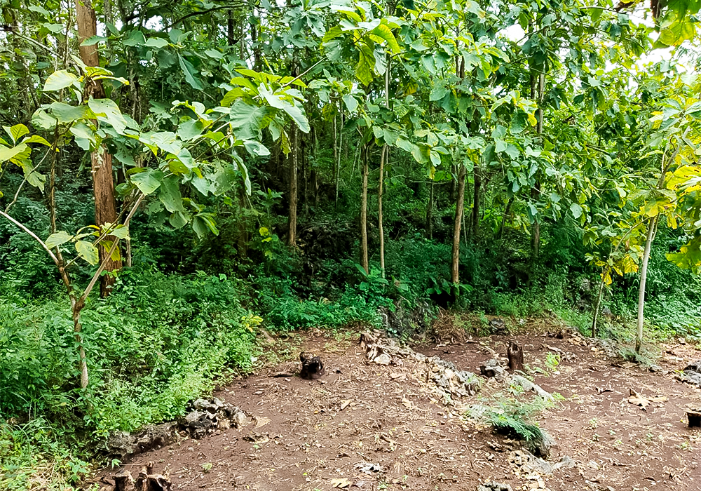 TANAH DI KAB. GUNUNGKIDUL - WOFF295-1 di Gunungkidul, Di Yogyakarta - J Trust Investments Indonesia